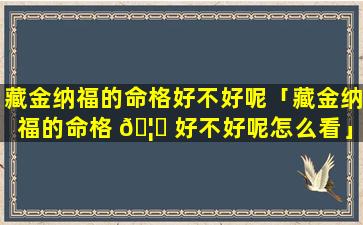 藏金纳福的命格好不好呢「藏金纳福的命格 🦟 好不好呢怎么看」